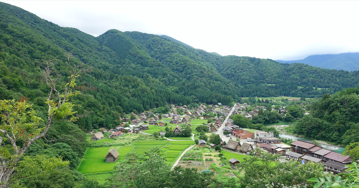 夏の白川郷